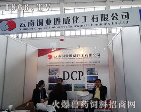 跨界融合 云南銅業勝威化工亮相中國飼料工業展覽會，展現銅業化工應用新潛力