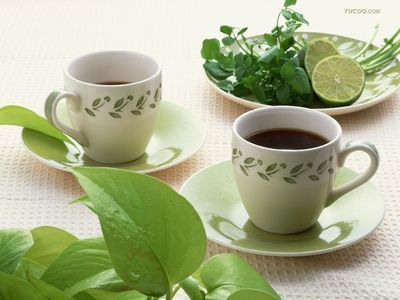 茶葉進口與食品報關 一站式商務服務指南